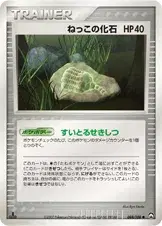 ねっこの化石