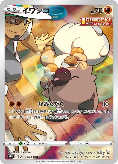 イワンコ