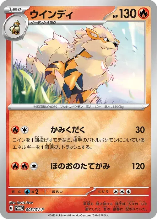 ウインディ