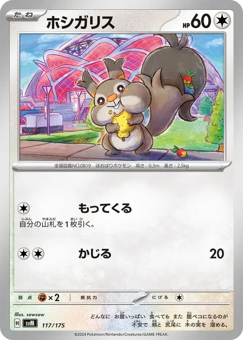 ホシガリス