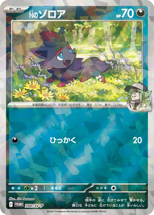 Nのゾロア