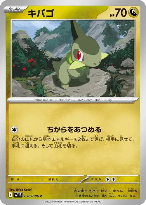キバゴ