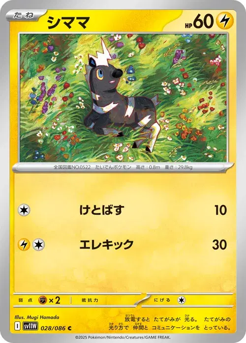 シママ