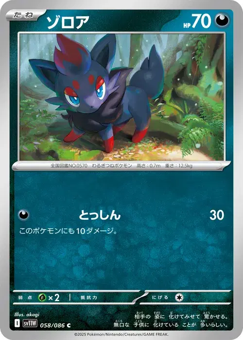 ゾロア