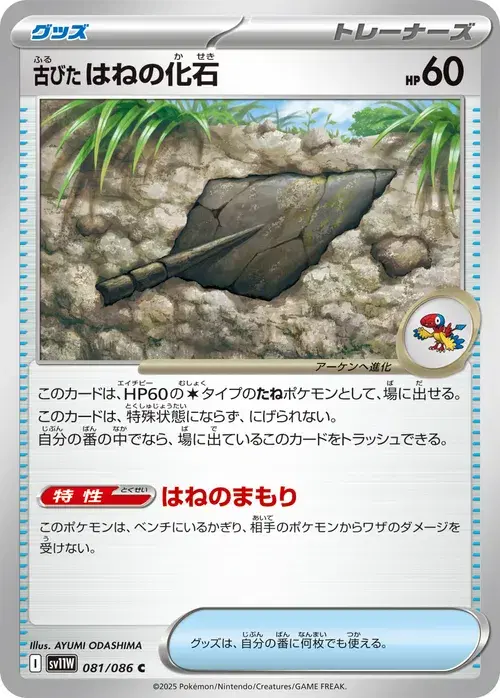 古びたはねの化石