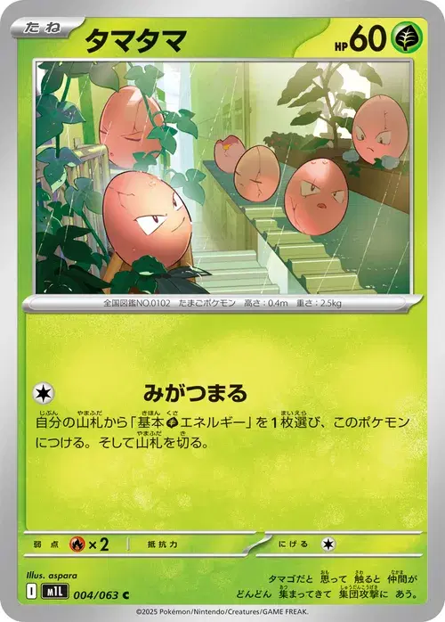 タマタマ