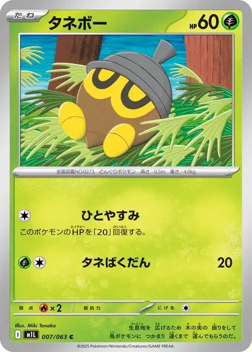 タネボー