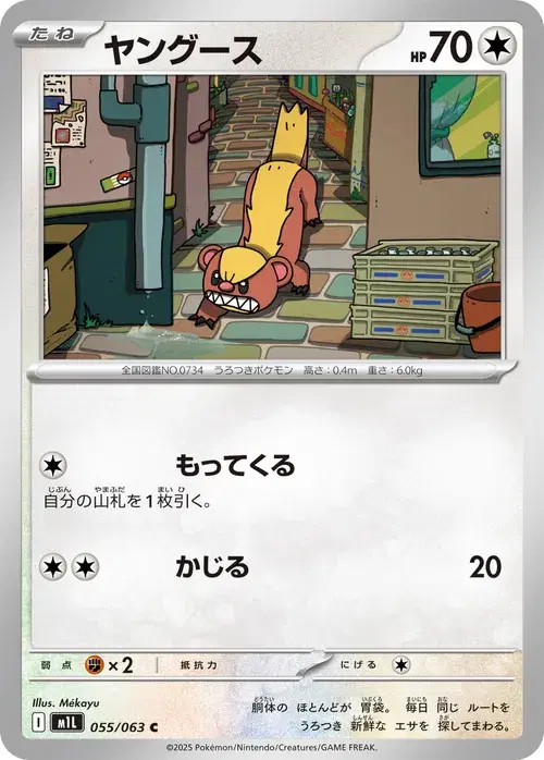 ヤングース