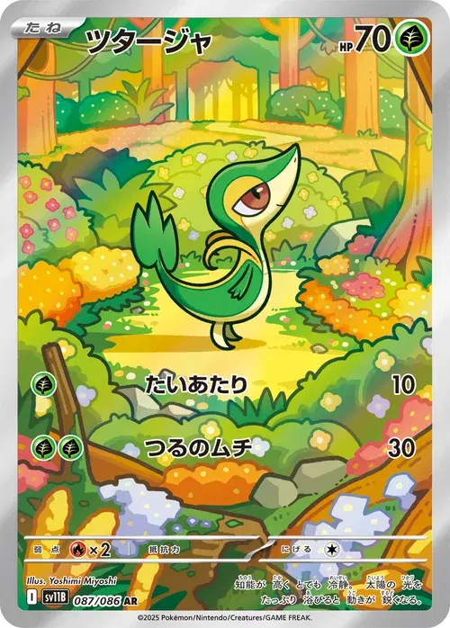 ツタージャ