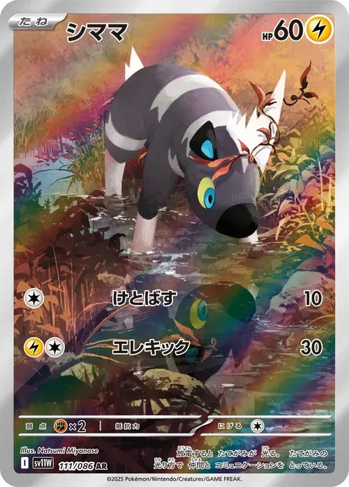 シママ