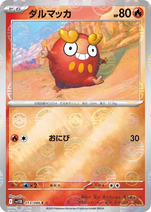 ダルマッカ