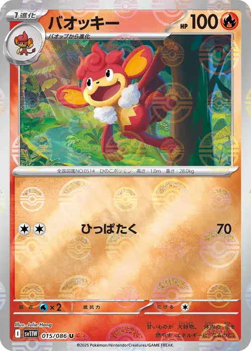 バオッキー