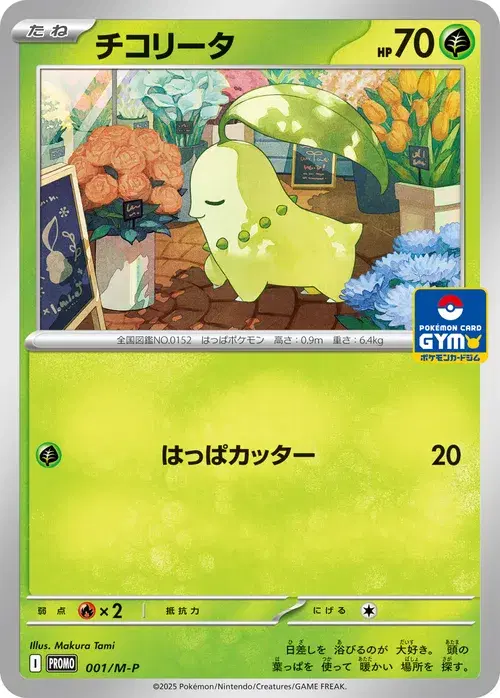 メガ プロモカード