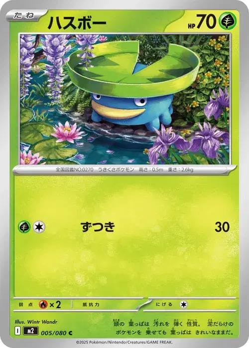 ハスボー