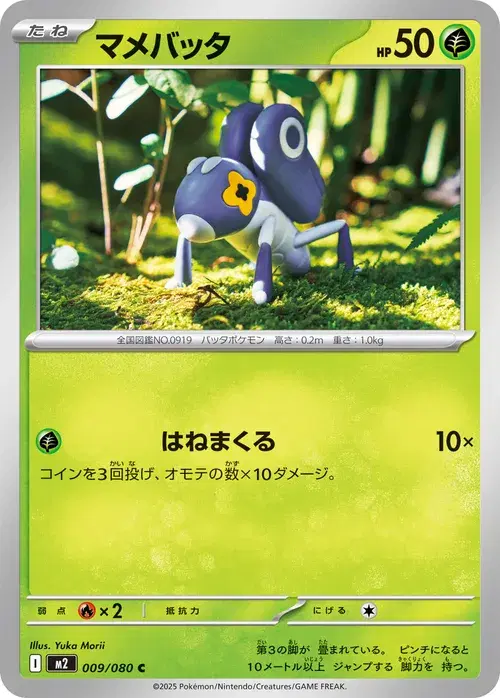マメバッタ