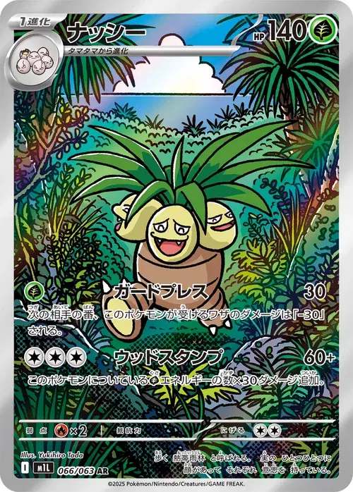 ナッシー