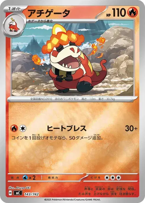 アチゲータ