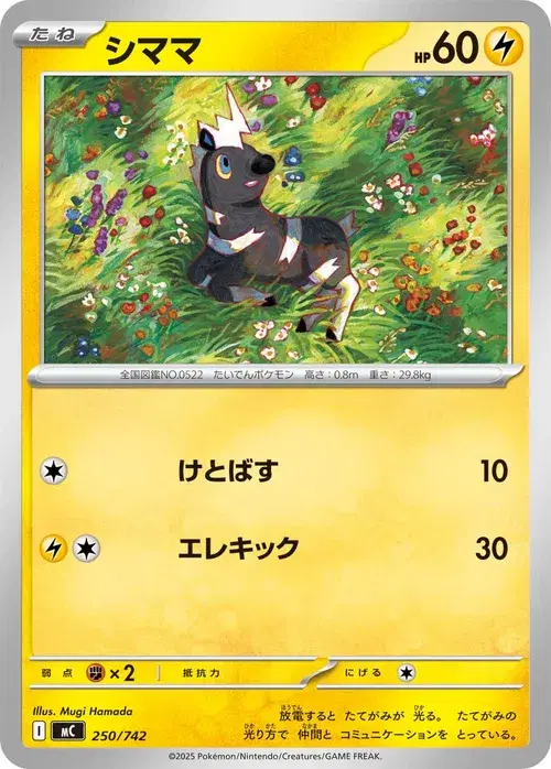 シママ