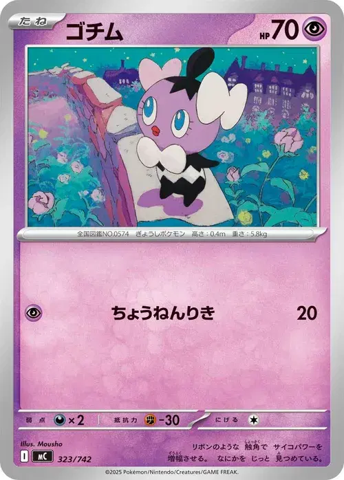 ゴチム