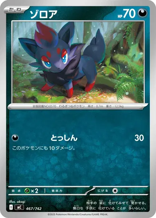 ゾロア