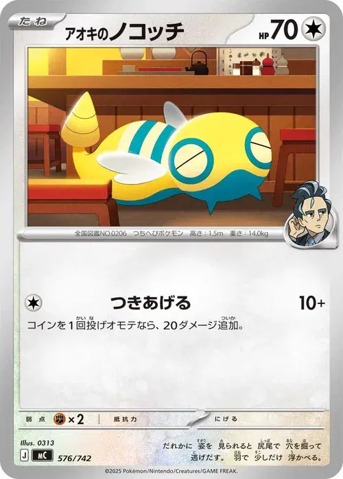 アオキのノコッチ