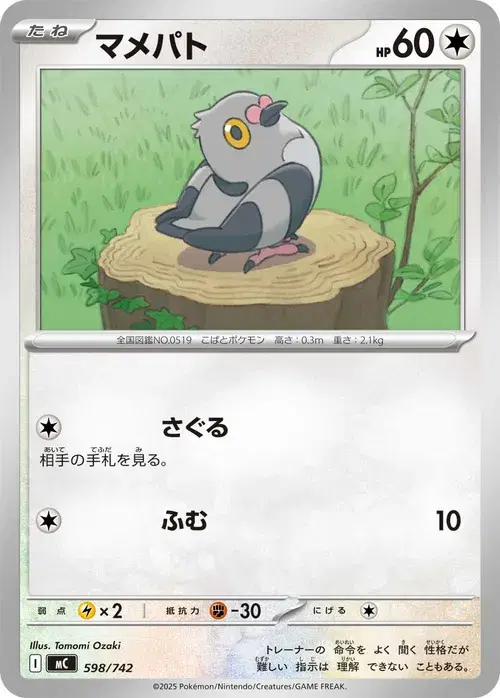 マメパト