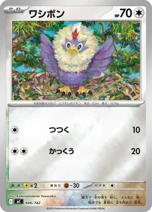 ワシボン