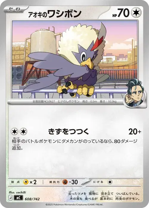 アオキのワシボン