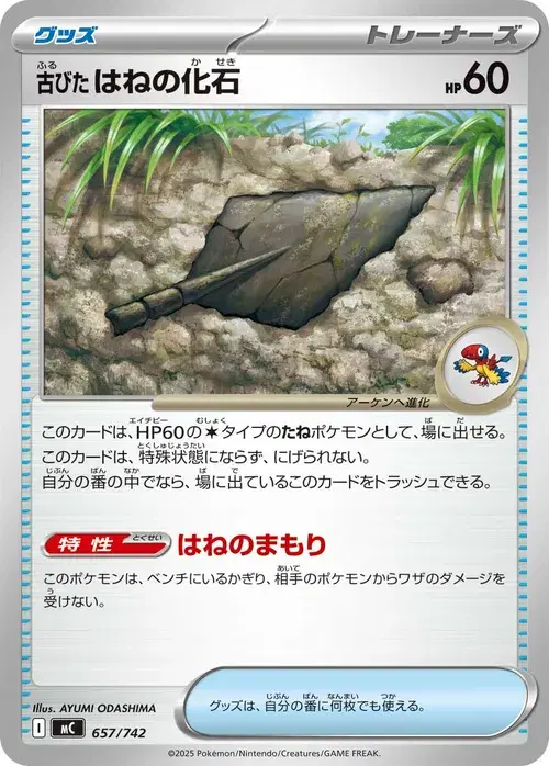古びたはねの化石