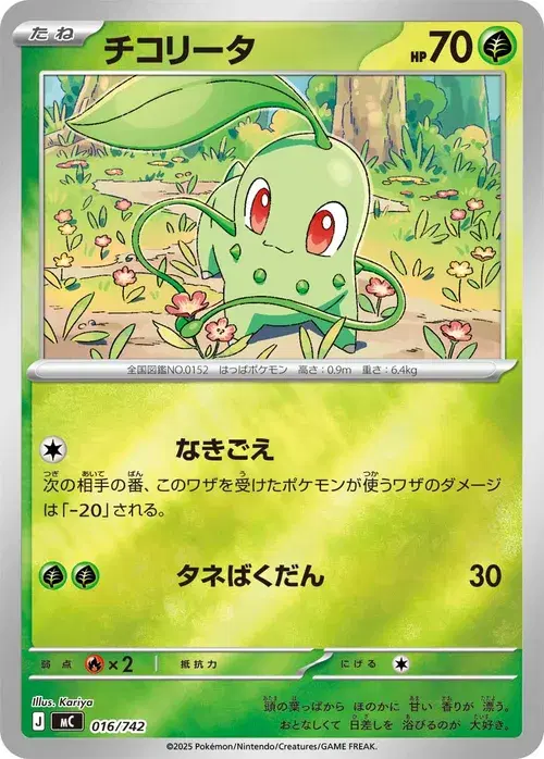 チコリータ
