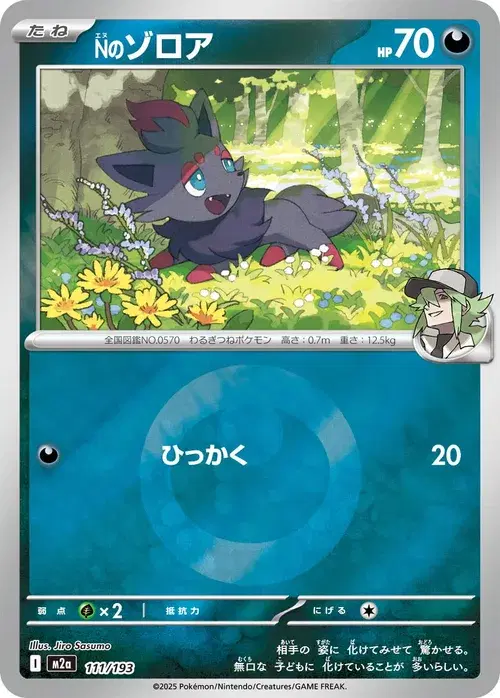Nのゾロア