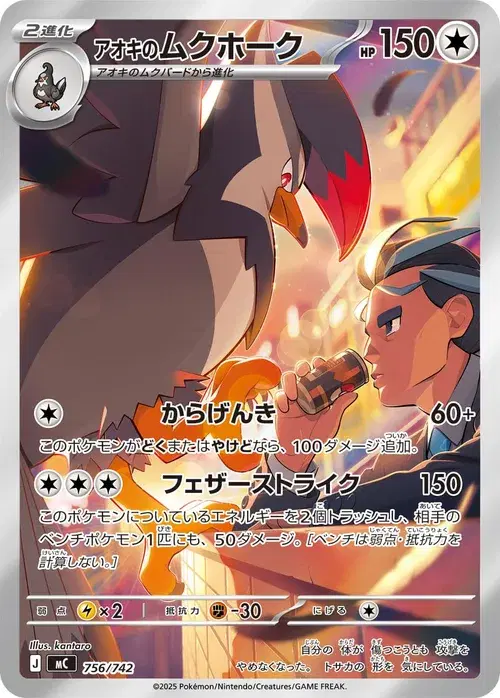 アオキのムクホーク