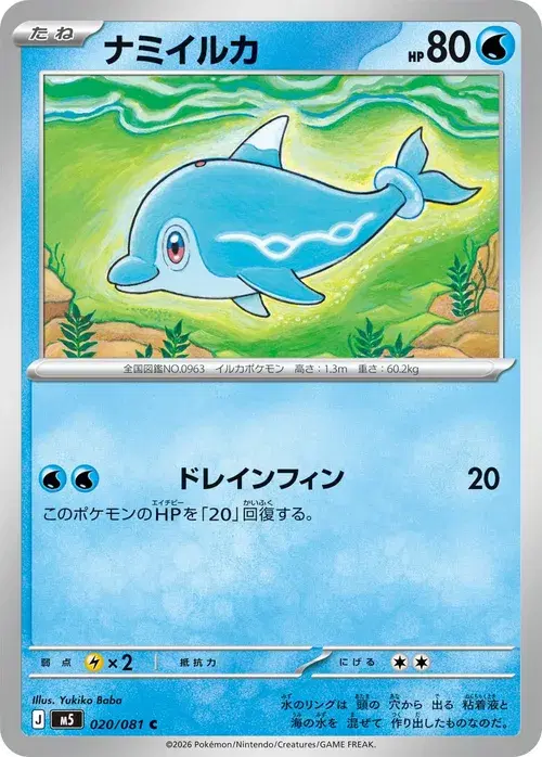 ナミイルカ