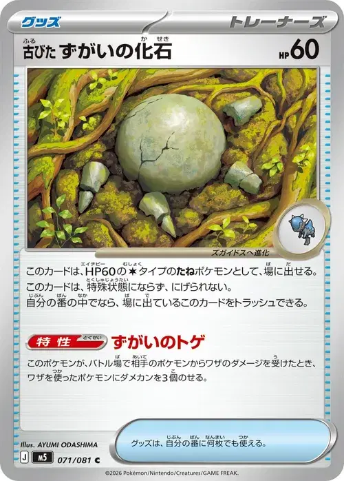 古びたずがいの化石