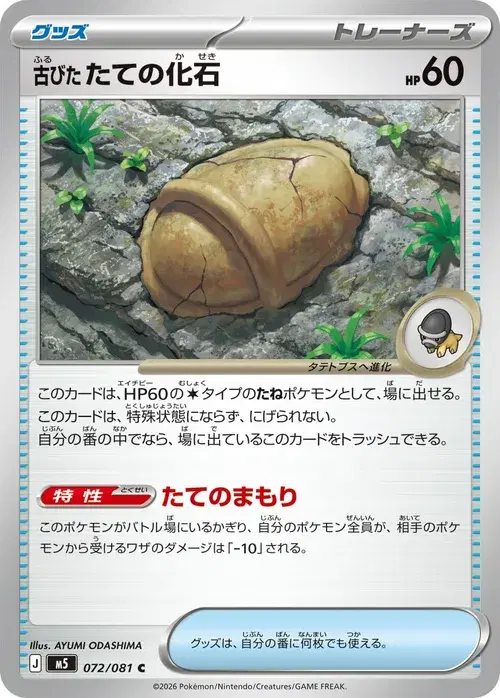 古びたたての化石