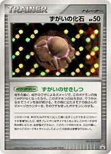 ずがいの化石