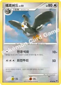 찌르버드