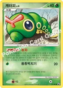 캐터피
