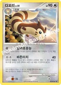 다꼬리
