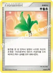 부활초