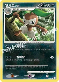 잎새코