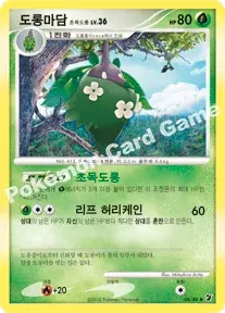 도롱마담 초목도롱
