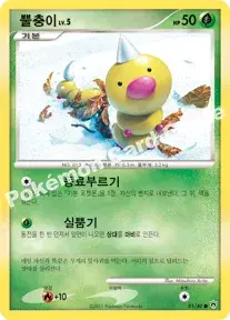 뿔충이