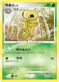 딱충이