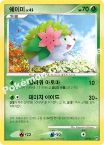 쉐이미