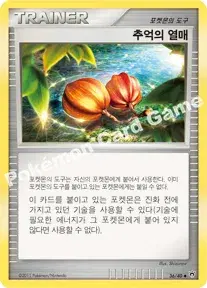 추억의 열매