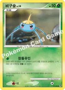 비구술
