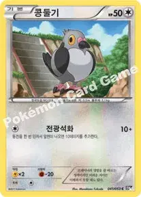 콩둘기