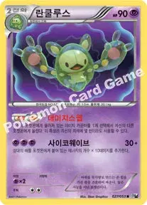 란쿨루스