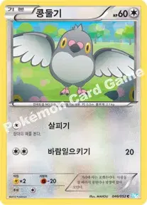 콩둘기